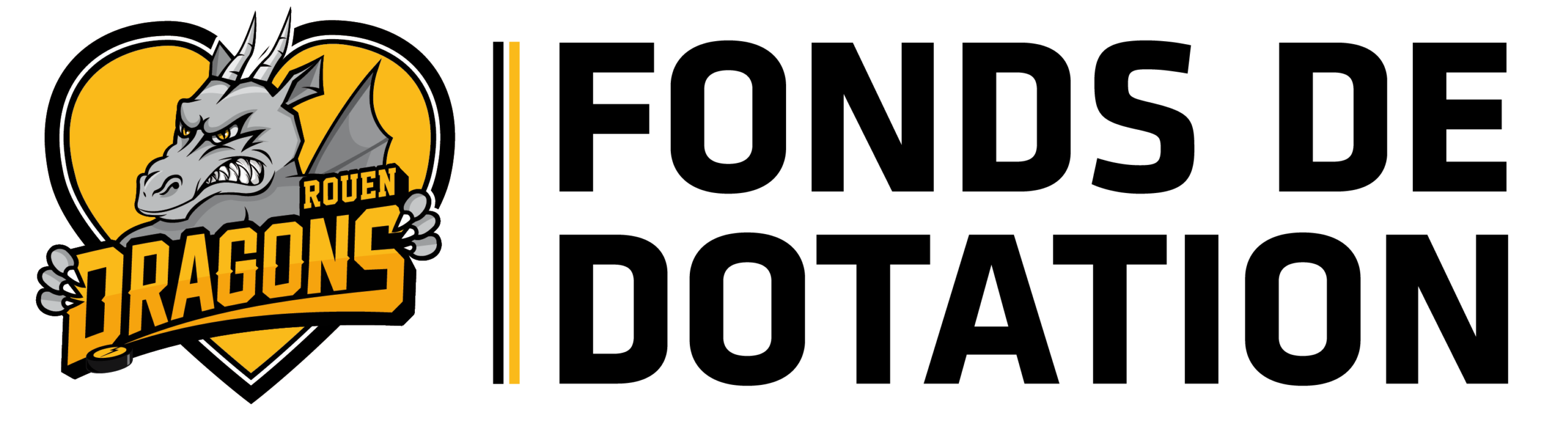 Fonds de dotation les dragons